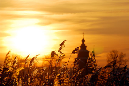 rus
