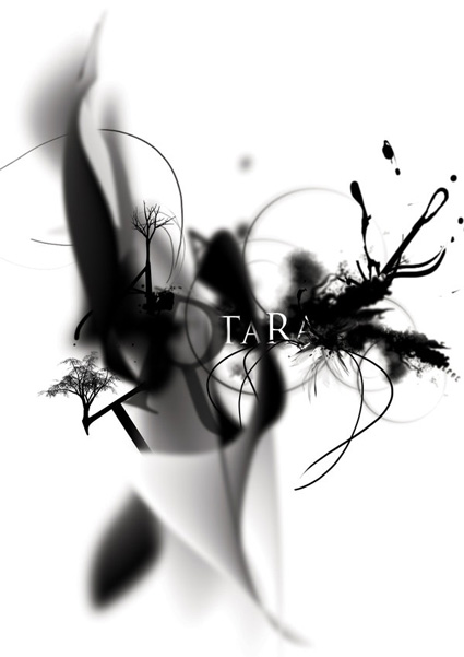 type-11
